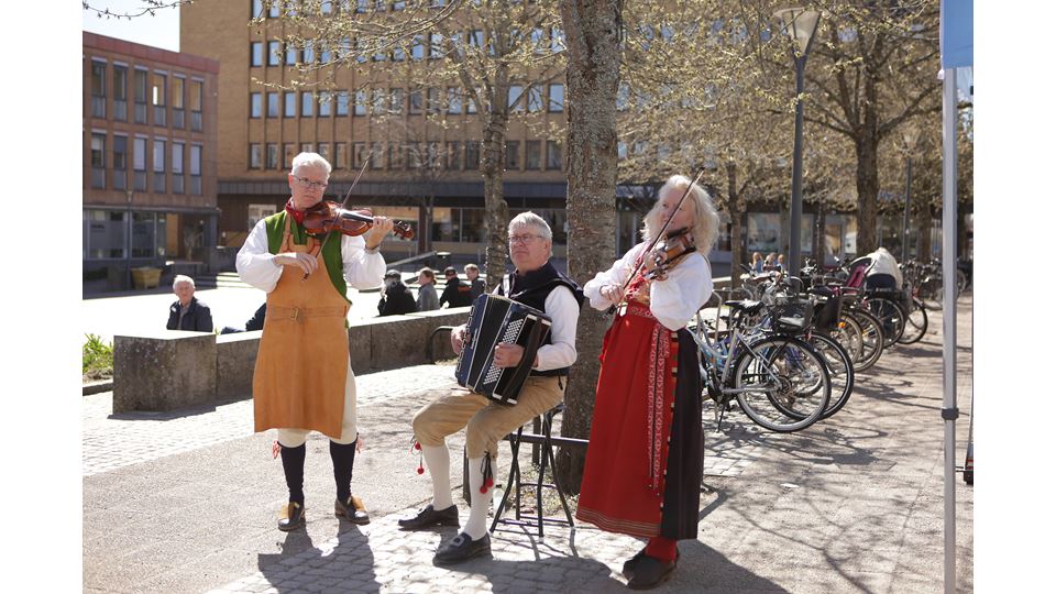 clas ohlson varnamo 08